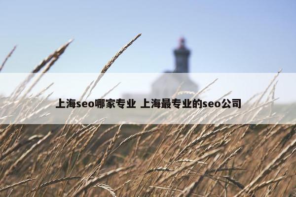 上海seo哪家专业 上海最专业的seo公司