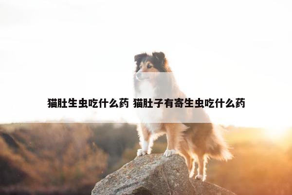 猫肚生虫吃什么药 猫肚子有寄生虫吃什么药