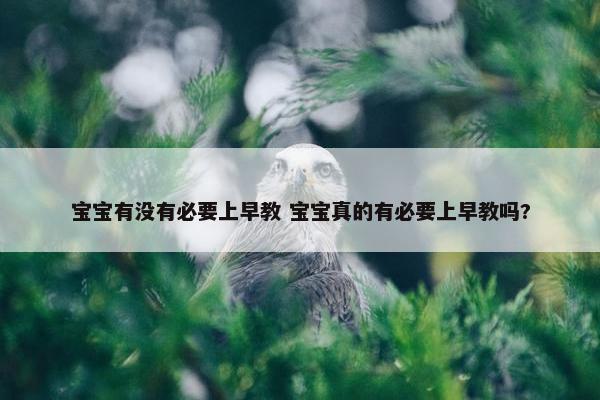 宝宝有没有必要上早教 宝宝真的有必要上早教吗?