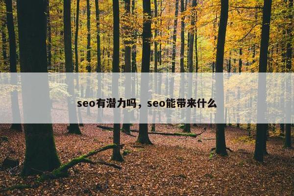 seo有潜力吗，seo能带来什么