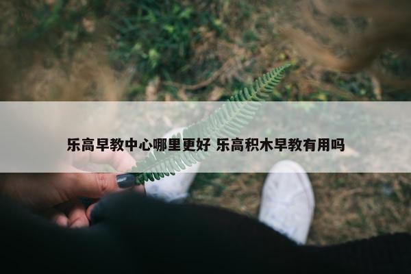 乐高早教中心哪里更好 乐高积木早教有用吗