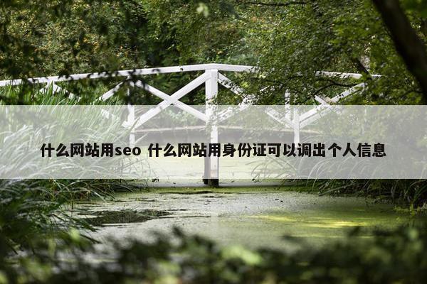 什么网站用seo 什么网站用身份证可以调出个人信息