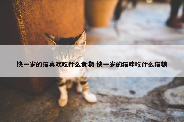 快一岁的猫喜欢吃什么食物 快一岁的猫咪吃什么猫粮