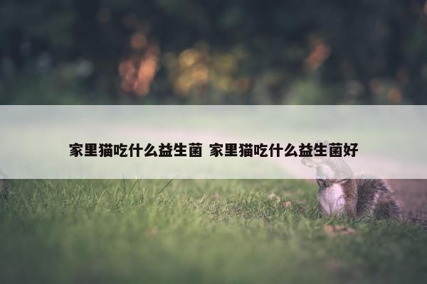 家里猫吃什么益生菌 家里猫吃什么益生菌好