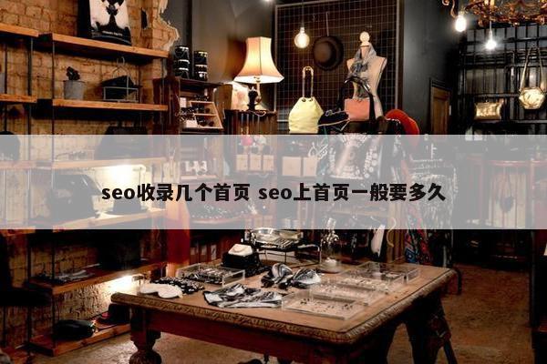 seo收录几个首页 seo上首页一般要多久