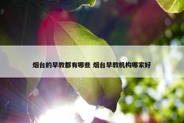 烟台的早教都有哪些 烟台早教机构哪家好