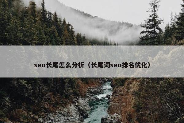 seo长尾怎么分析（长尾词seo排名优化）