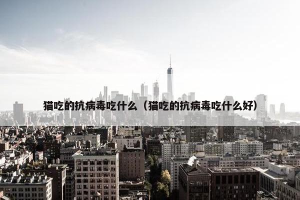 猫吃的抗病毒吃什么（猫吃的抗病毒吃什么好）