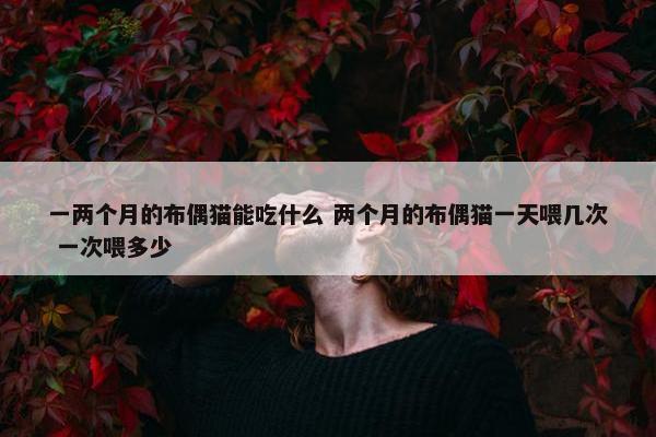 一两个月的布偶猫能吃什么 两个月的布偶猫一天喂几次 一次喂多少