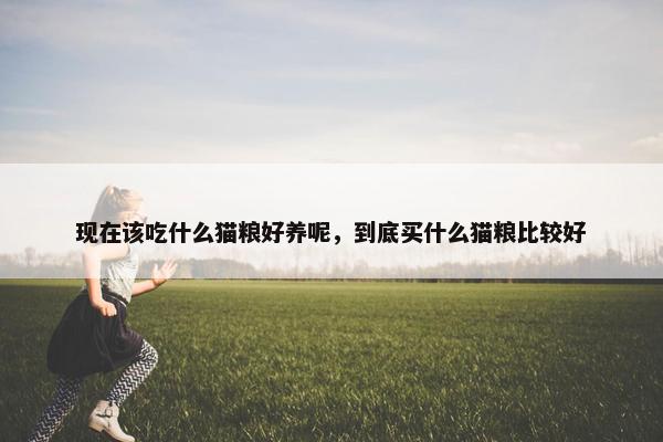 现在该吃什么猫粮好养呢，到底买什么猫粮比较好