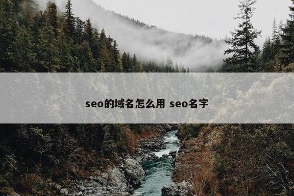 seo的域名怎么用 seo名字