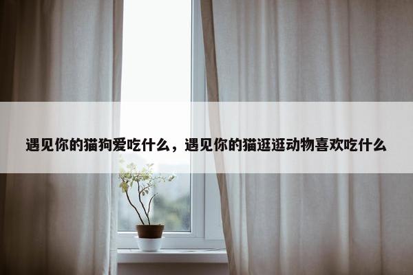 遇见你的猫狗爱吃什么，遇见你的猫逛逛动物喜欢吃什么