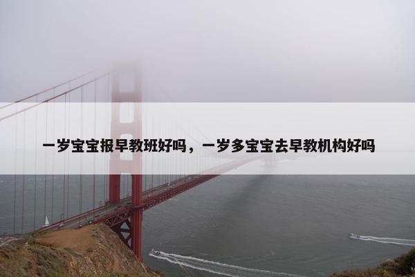 一岁宝宝报早教班好吗，一岁多宝宝去早教机构好吗