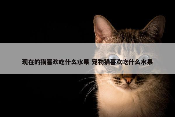 现在的猫喜欢吃什么水果 宠物猫喜欢吃什么水果