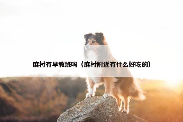 麻村有早教班吗（麻村附近有什么好吃的）