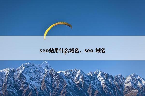 seo站用什么域名，seo 域名