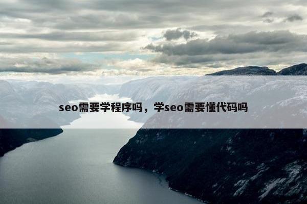 seo需要学程序吗，学seo需要懂代码吗