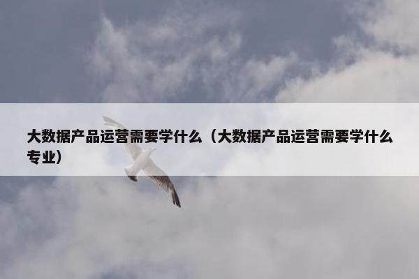 大数据产品运营需要学什么（大数据产品运营需要学什么专业）