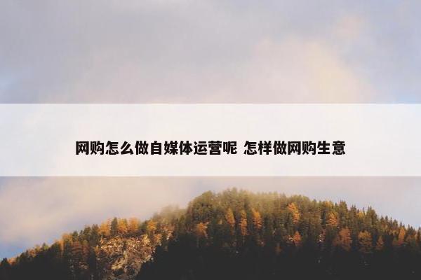 网购怎么做自媒体运营呢 怎样做网购生意