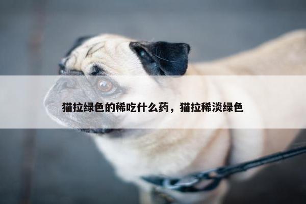 猫拉绿色的稀吃什么药，猫拉稀淡绿色