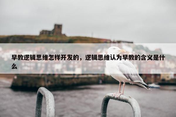 早教逻辑思维怎样开发的，逻辑思维认为早教的含义是什么