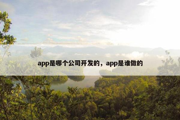 app是哪个公司开发的，app是谁做的