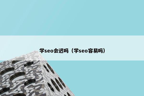 学seo会迟吗（学seo容易吗）