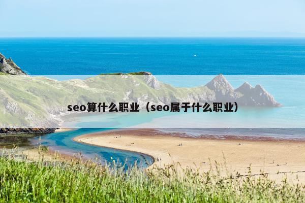 seo算什么职业（seo属于什么职业）