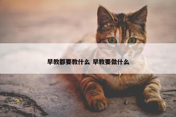 早教都要教什么 早教要做什么