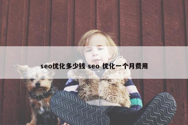 seo优化多少钱 seo 优化一个月费用