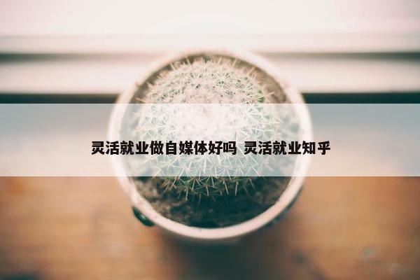 灵活就业做自媒体好吗 灵活就业知乎