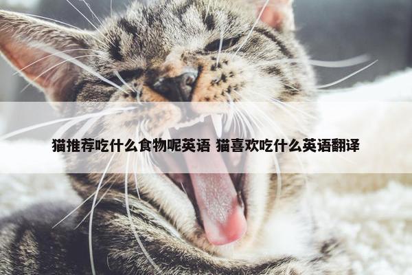 猫推荐吃什么食物呢英语 猫喜欢吃什么英语翻译