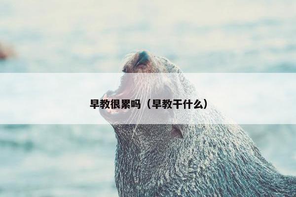 早教很累吗（早教干什么）