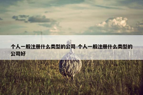 个人一般注册什么类型的公司 个人一般注册什么类型的公司好