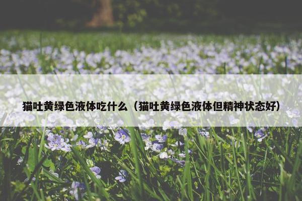 猫吐黄绿色液体吃什么（猫吐黄绿色液体但精神状态好）