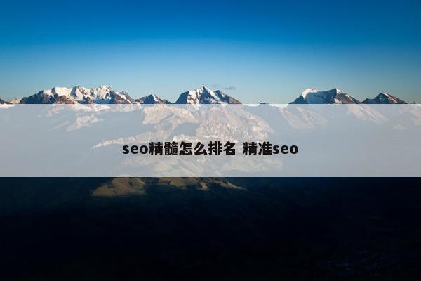 seo精髓怎么排名 精准seo