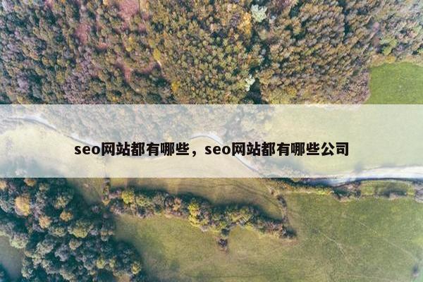 seo网站都有哪些，seo网站都有哪些公司