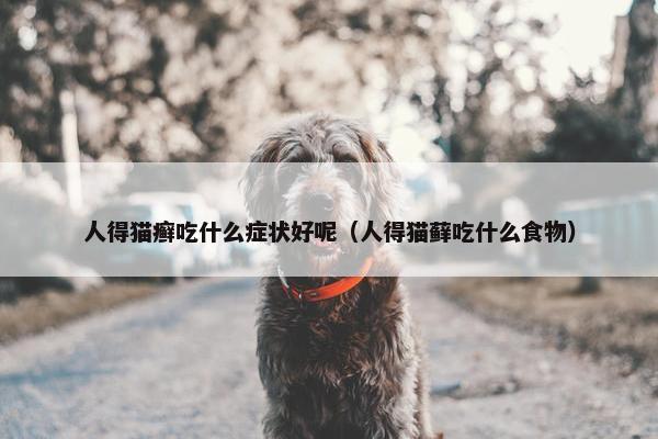 人得猫癣吃什么症状好呢（人得猫藓吃什么食物）