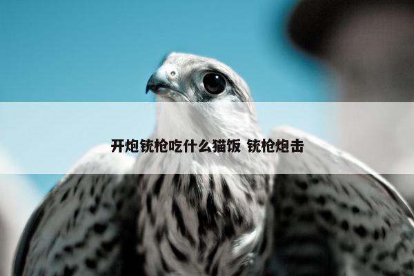 开炮铳枪吃什么猫饭 铳枪炮击