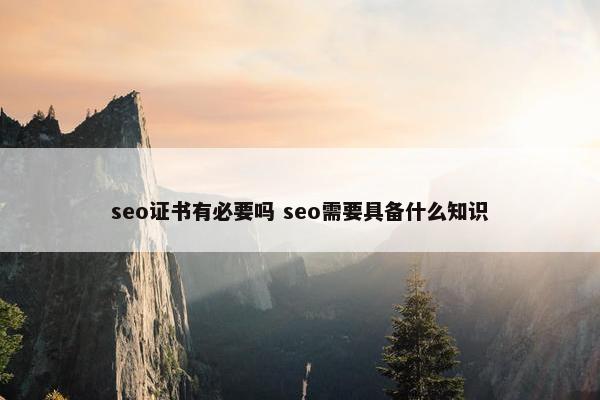 seo证书有必要吗 seo需要具备什么知识