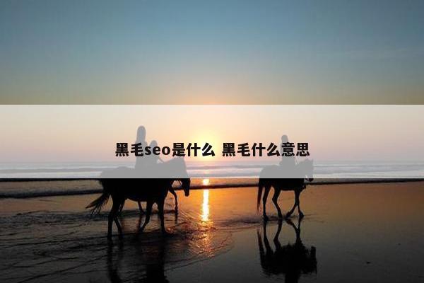 黑毛seo是什么 黑毛什么意思