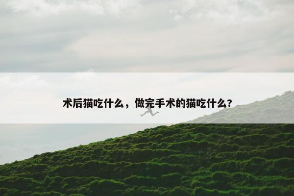 术后猫吃什么，做完手术的猫吃什么?