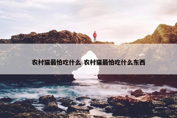 农村猫最怕吃什么 农村猫最怕吃什么东西