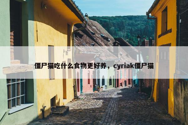 僵尸猫吃什么食物更好养，cyriak僵尸猫