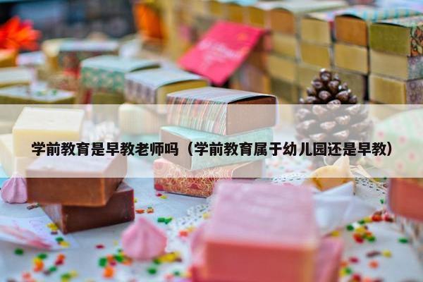 学前教育是早教老师吗（学前教育属于幼儿园还是早教）