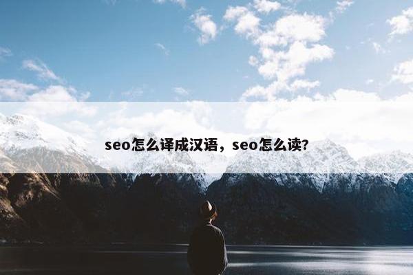 seo怎么译成汉语，seo怎么读?