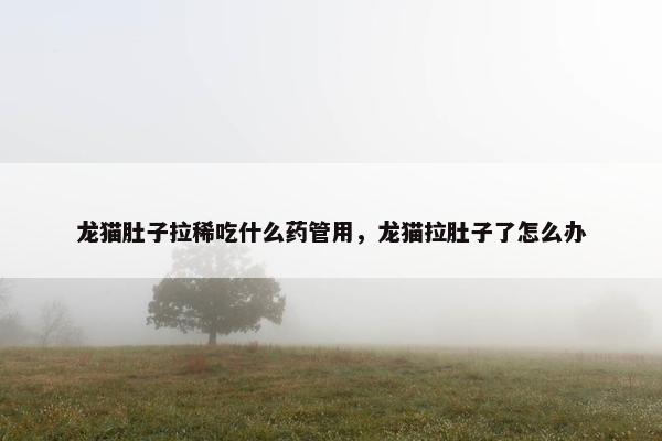 龙猫肚子拉稀吃什么药管用，龙猫拉肚子了怎么办