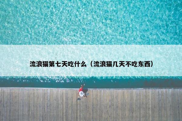 流浪猫第七天吃什么（流浪猫几天不吃东西）