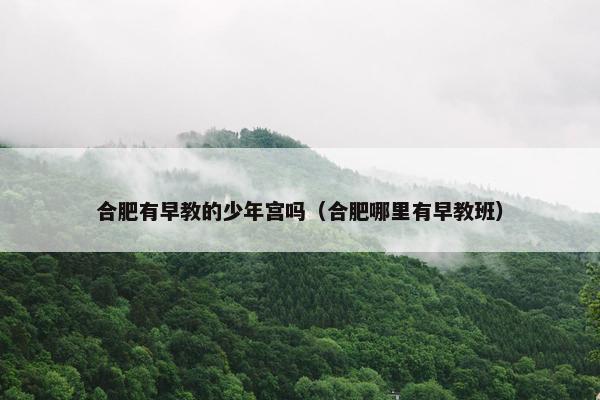 合肥有早教的少年宫吗（合肥哪里有早教班）