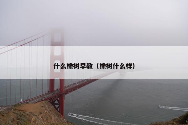 什么橡树早教（橡树什么样）